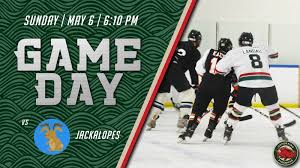 Image result for Piranhas Inline Hockey Club