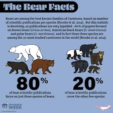 Attēlu rezultāti vaicājumam “Carnivora”