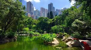 Image result for Hong Kong