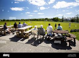 Image result for Narberth Cricket Club