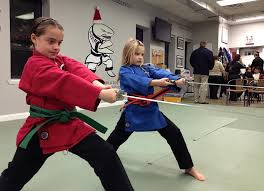 Image result for Action Karate