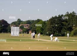 Image result for Harpenden Cricket Club