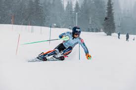 Image result for British Norwegian Ski Club
