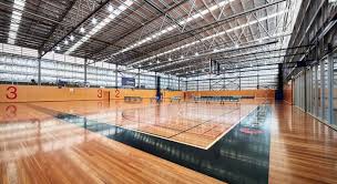 Image result for Sports Centre Netball