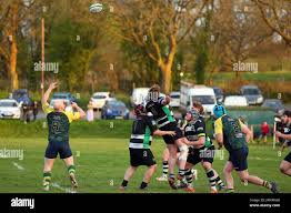 Image result for Llandeilo Rugby Football Club