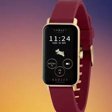 Image result for Bowmen Of Burleigh