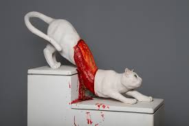 Attēlu rezultāti vaicājumam “Felis silvestris catus”