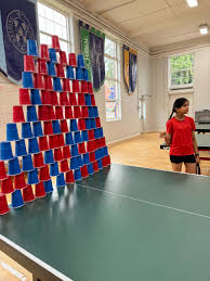 Image result for Kingfisher Reading Table Tennis Club