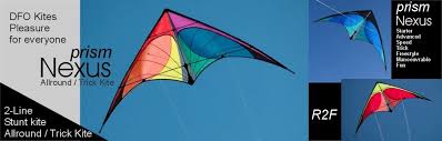 Image result for Mobius Flix Trick & Freestyle Kite Club