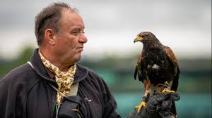 Image result for Wimbledon Hawks