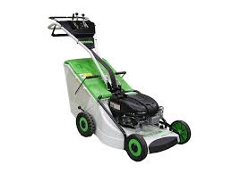 Image result for etesia tehron