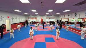 Image result for Red Dragon Taekwondo club