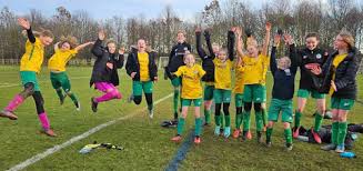 Image result for Bedale Badminton Club