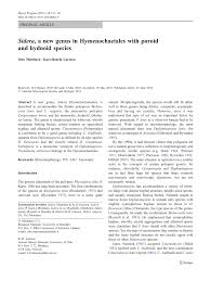 Attēlu rezultāti vaicājumam “Sidera lenis”