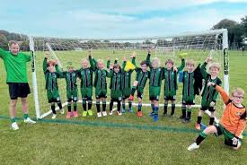 Image result for Manor Colts Youth Football Club