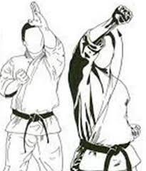 Image result for Jodan Karate