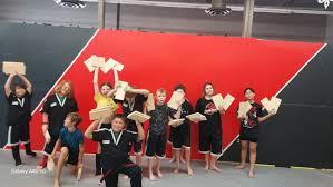 Image result for Precision Martial Arts