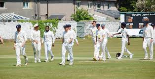 Image result for Cherry Tree Cricket Club