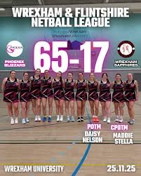 Image result for Cd Phoenix Netball Club