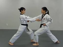 Image result for Park's Martial Arts Coral Springs