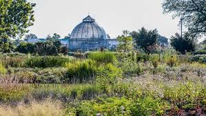 Image result for Piet Oudolf