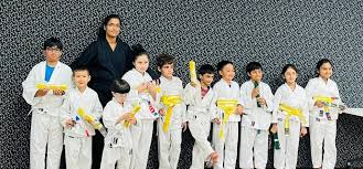 Image result for Marsden martial arts