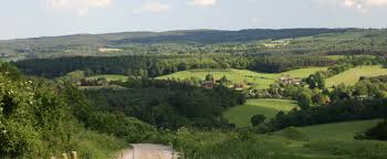 Image result for Guildford Orienteers