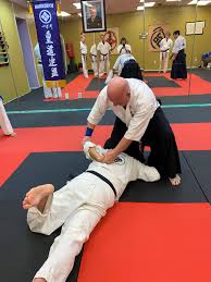 Image result for Ryuko Dojo