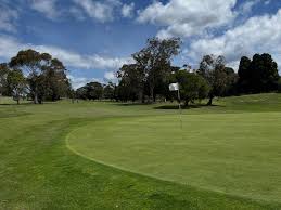 Image result for Medway Scrabble Club