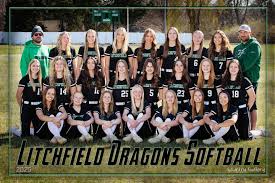 Image result for Dragons Softball Club