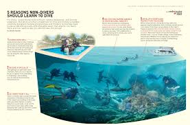 Image result for Scuba Skooling