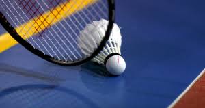 Image result for Marnhull and Gillingham Badminton Club