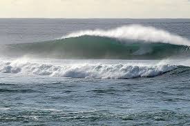 Image result for Pasha bulker