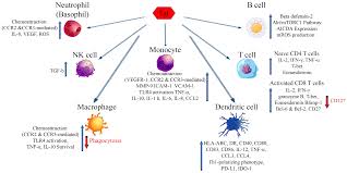 Image result for egedal tehron