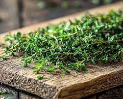 Image result for Thymian