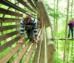 Image result for Go Ape! Thetford
