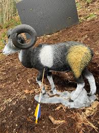 Image result for Row Brow Field Archery