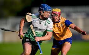 Image result for Sarsfields Hurling Club