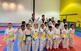 Image result for Martial Art Centre of Excellence