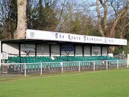Image result for Chipstead Fc