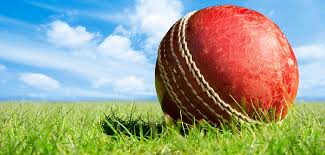 Image result for Kingsley Cricket Club