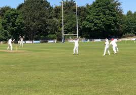 Image result for Caldy Cricket Club