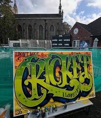 Image result for Downe Cricket Club