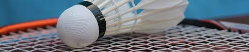 Image result for Chandlers Ford Badminton Club
