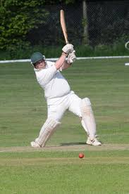Image result for Redlynch and Hale Cricket Club
