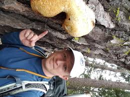 Attēlu rezultāti vaicājumam “Brefeldia maxima young”