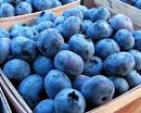 The Garden of Eaden  HOW TO GROW BLUEBERRIES