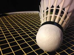 Image result for Sulby Badminton Club