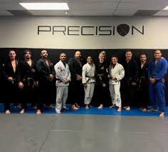 Image result for Precision Martial Arts