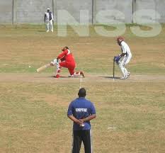 Image result for Flamingo Cricket Club